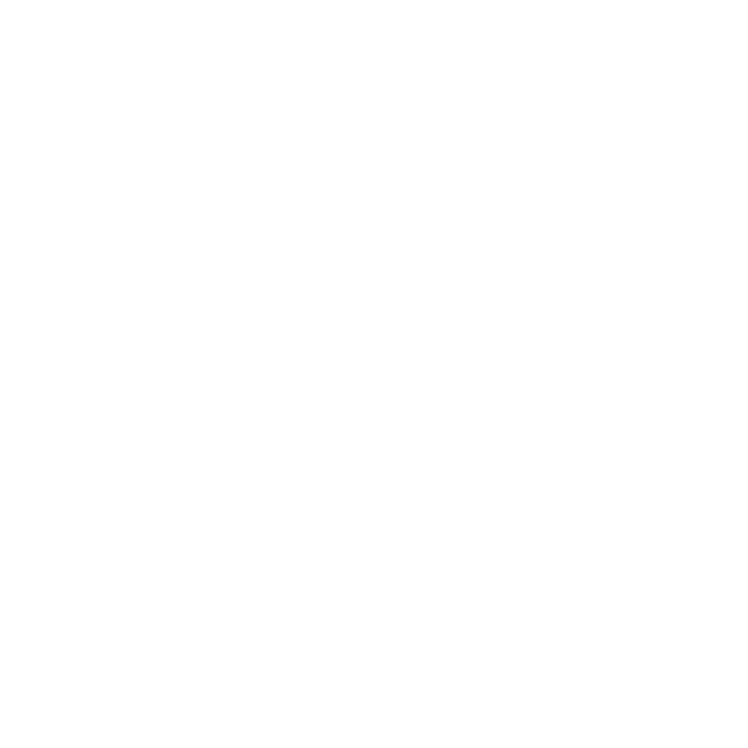 Tour and Guide Services